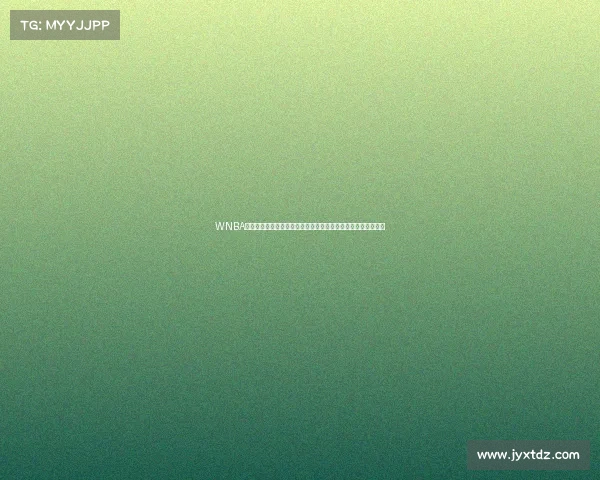 WNBA是美国顶尖女子职业篮球赛事全面解析其历史规则与全球影响力